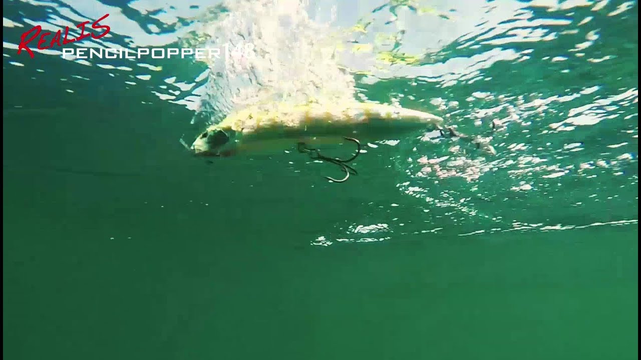 DUO`s Lures in Motion: Realis PencilPopper 148