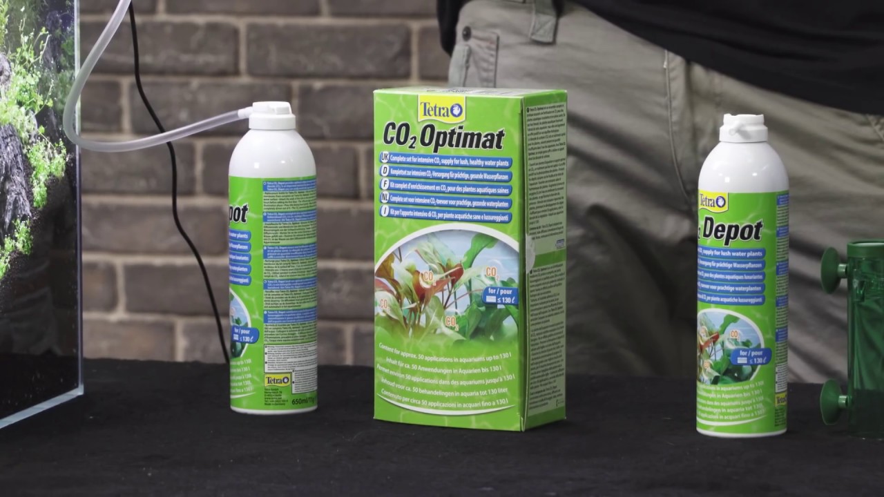 Super easy CO2 System  Grüne und gesunde Wasserpflanzen einfach und günstig