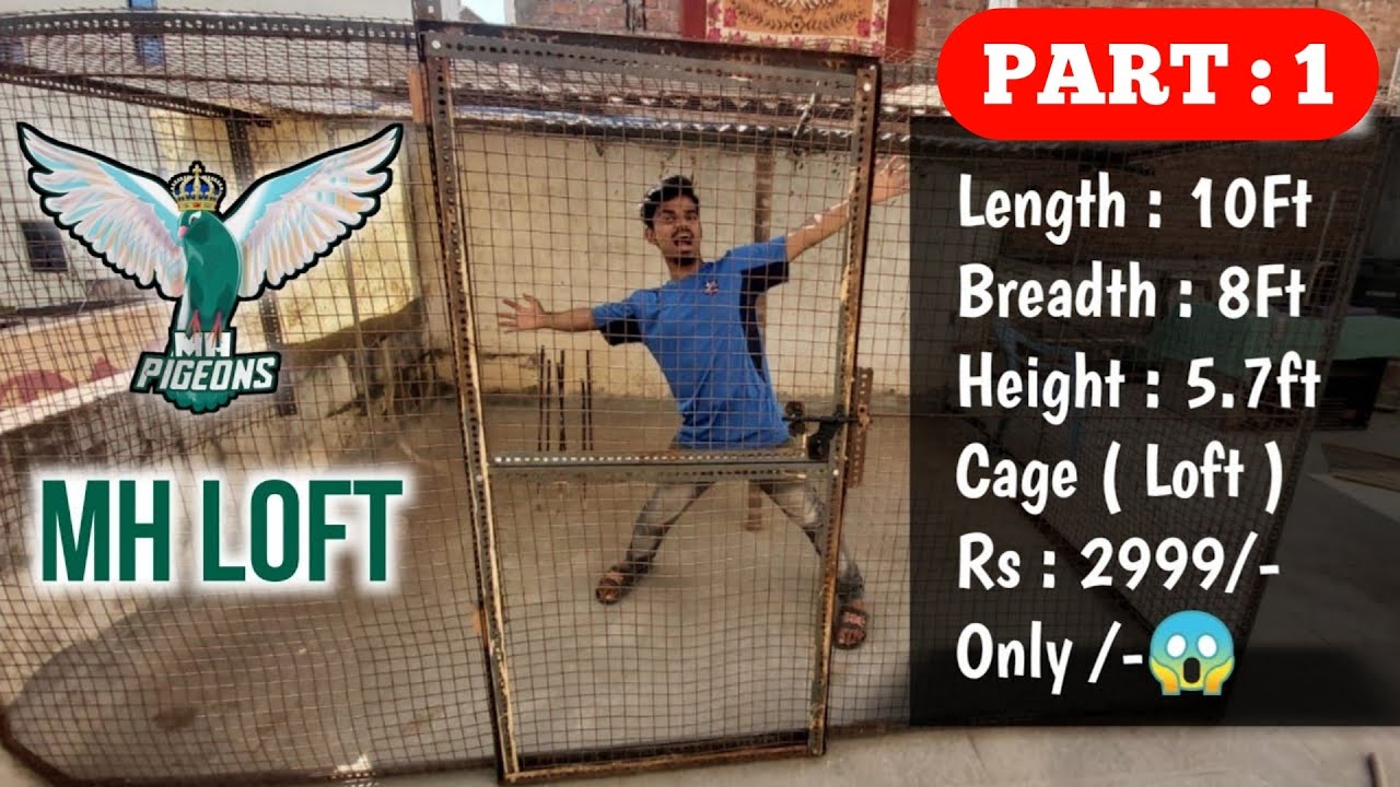 How to Make a pigeon Loft in Cheap price/😱 10 FT Cage Set-up in just 2,999/-🤑/My New Loft( Part : 1)