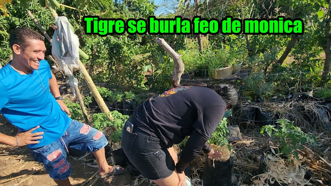 Tigre se desquito una de tantas que le a echo Mónica👊🏻Empezando a asar elotes-3