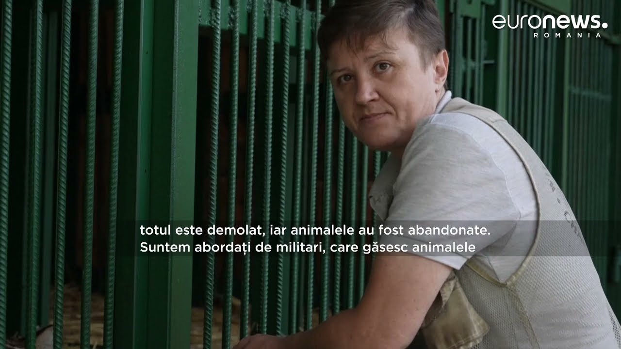 UCRAINA. Peste 300 de animale - salvate. Animalele sălbatice au fost abandonate de proprietari
