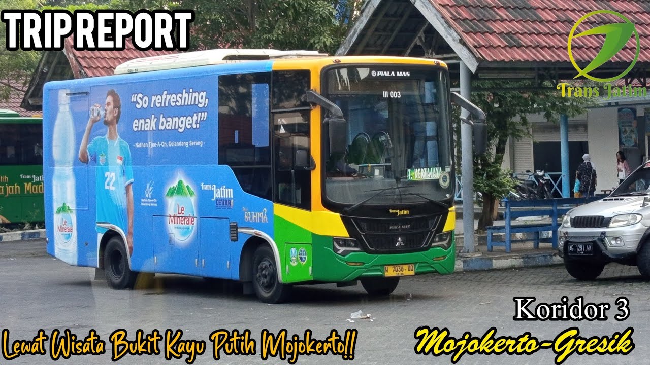 Angkutan Umum Satu²nya Di Jalur Ini‼️Trip Report Trans Jatim Koridor 3 Mojokerto-Gresik