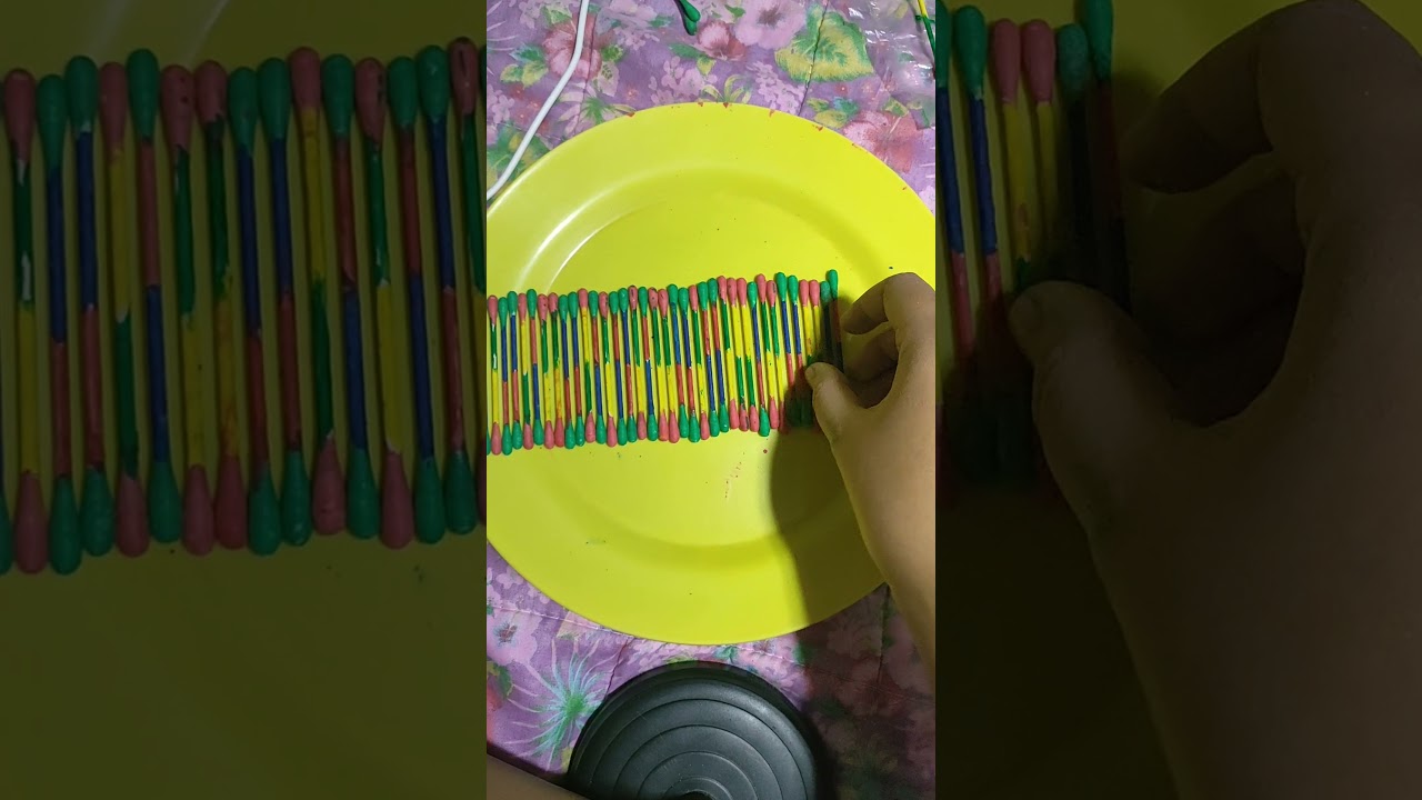 DNA MODEL PROJECT