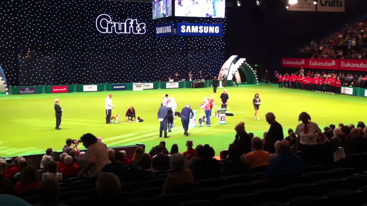 Natasha Wise and Dizzy - Crufts 2012 Championship Final - Presentation (11/03/12)