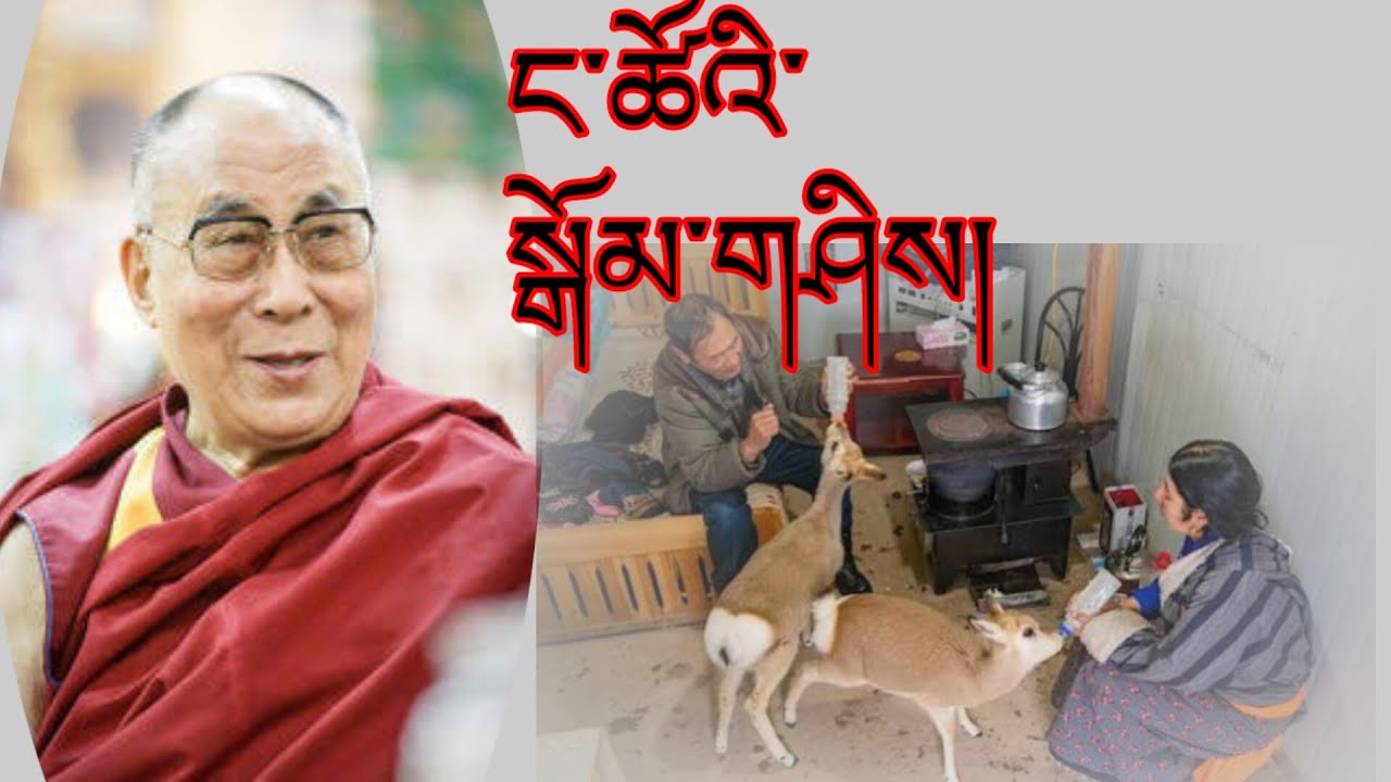 ང་ཚོའི་སྒོམ་གཤིས། our habit @gesherab