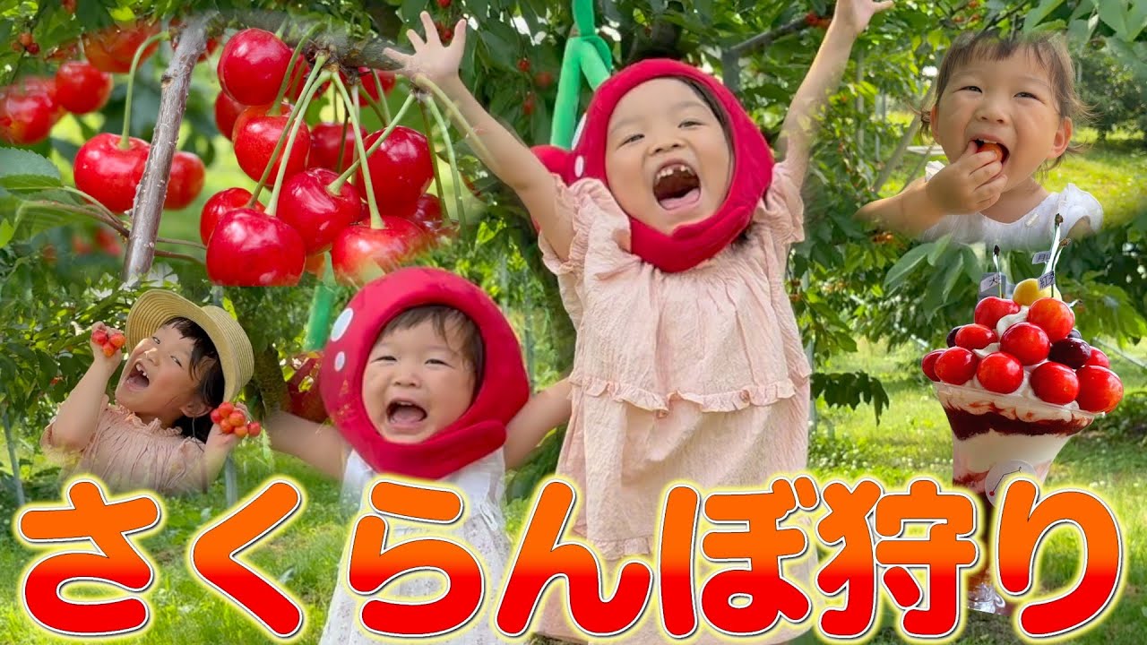 ついに実現✨山形で本場のさくらんぼ食べてきた🍒