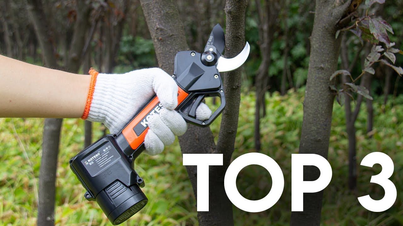 TOP 3 : Meilleur Sécateur Électrique 2025