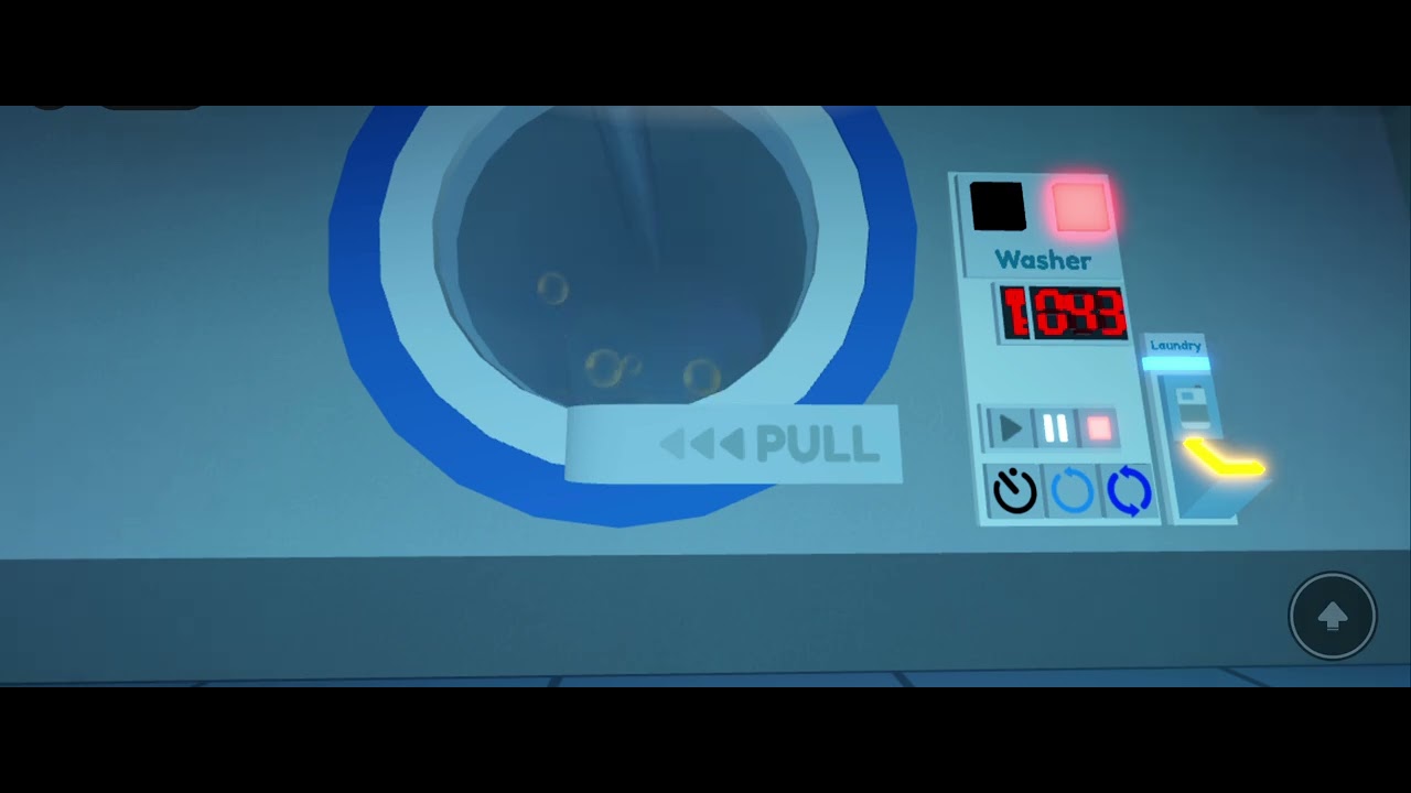 I Bought the $10,000 Roblox Washing Machine