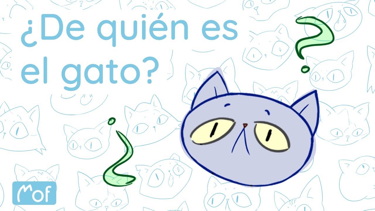 ¿De quién es el gato? | Mof