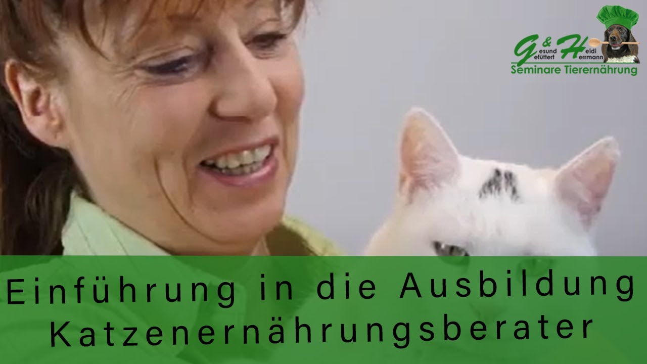 Einführung in die Ausbildung Katzenernährungsberater