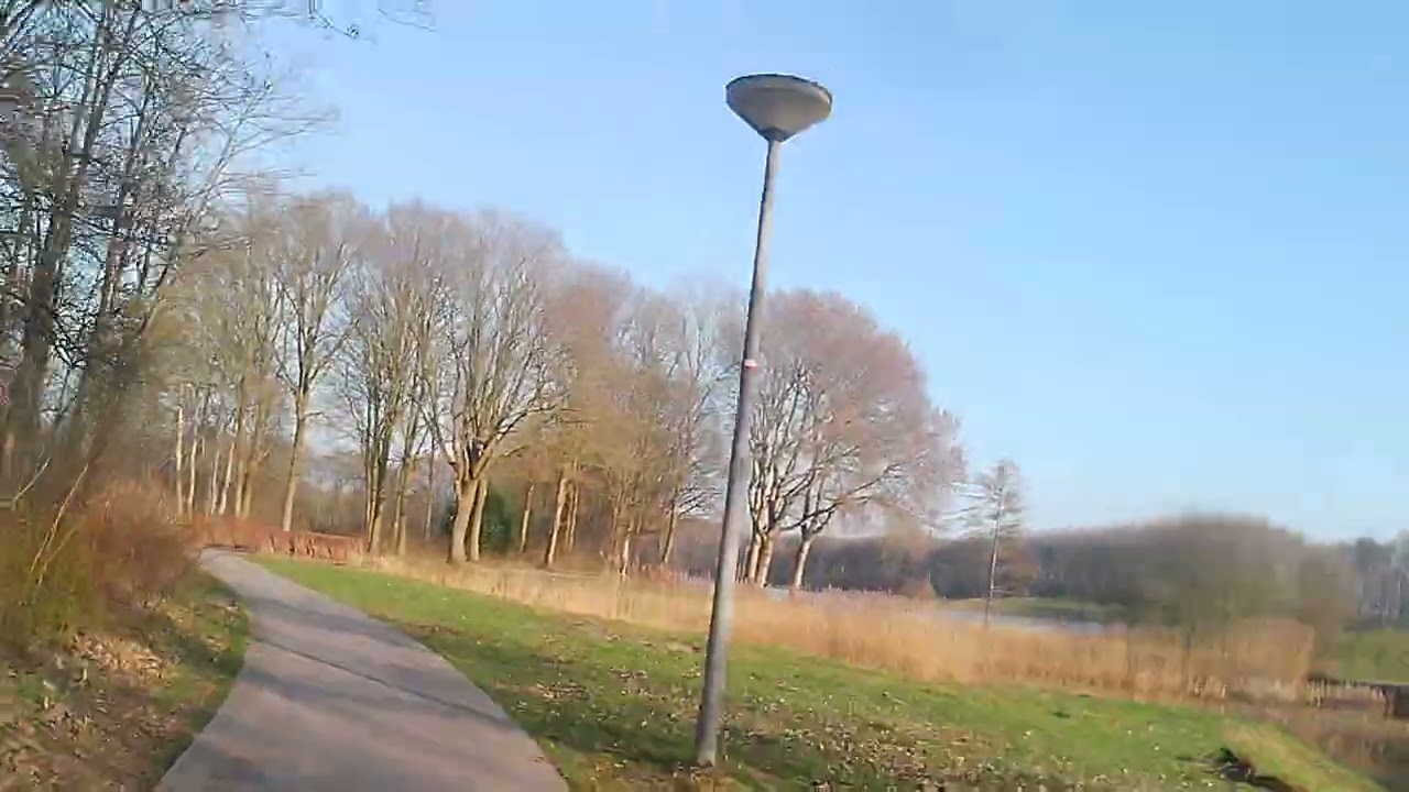 20250219 034452