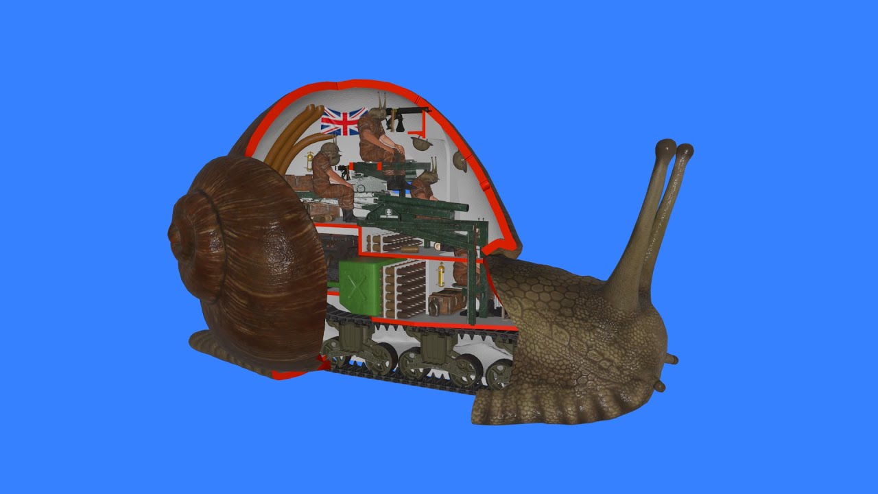 How a snail works