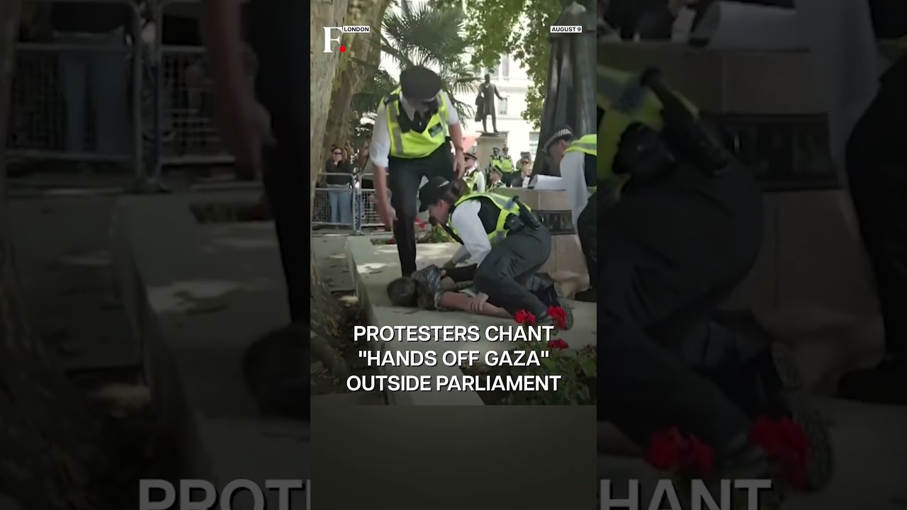 UK: Police Arrest Hundreds at London Protest Against Palestine Action Group's Ban | N18G
