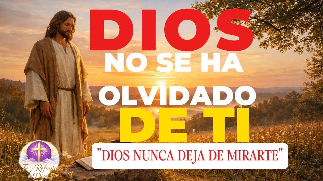 ❤️DIOS NO SE HA OLVIDADO DE TI #fe #amor #dios #motivacional #feyrefugioendios❤️