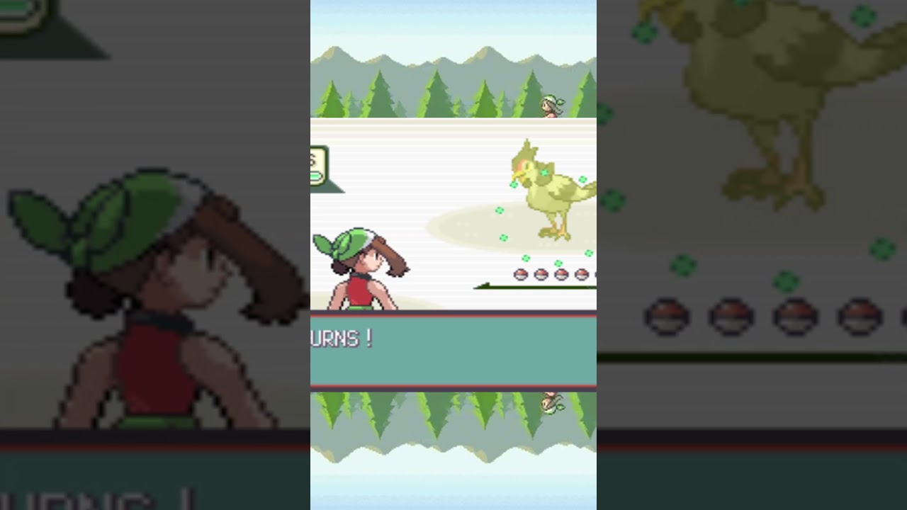 BIRD UP #birdup #meme #terminalmontage #funny  #pokemon #perfectlynormalpokemon