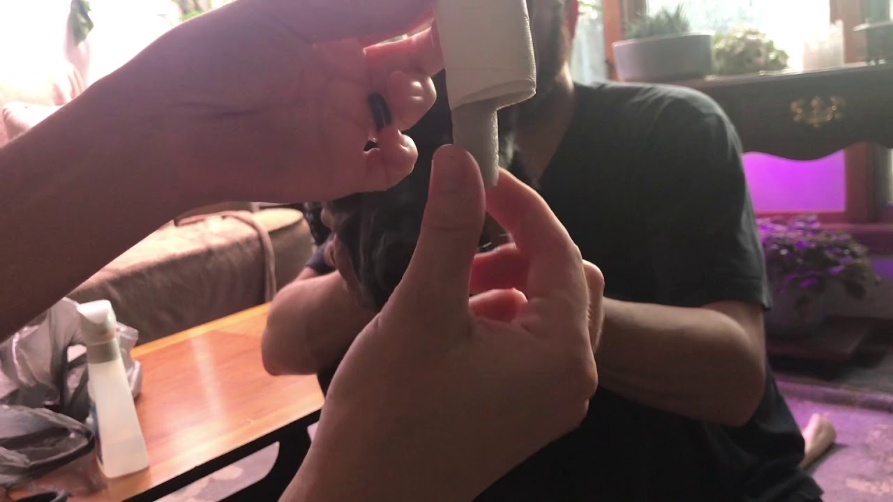 Ear taping Shepherd puppy