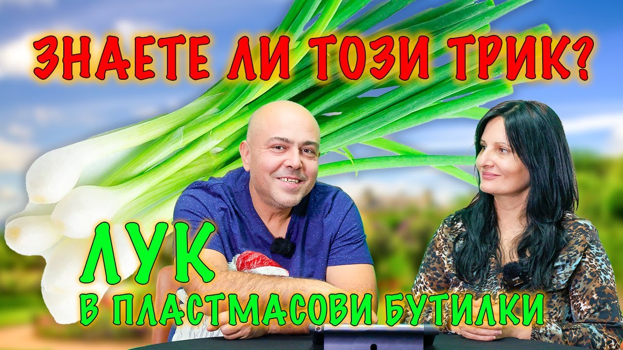 Интересни трикове за отглеждане на лук в пластмасови бутилки. Реакции и коментари.