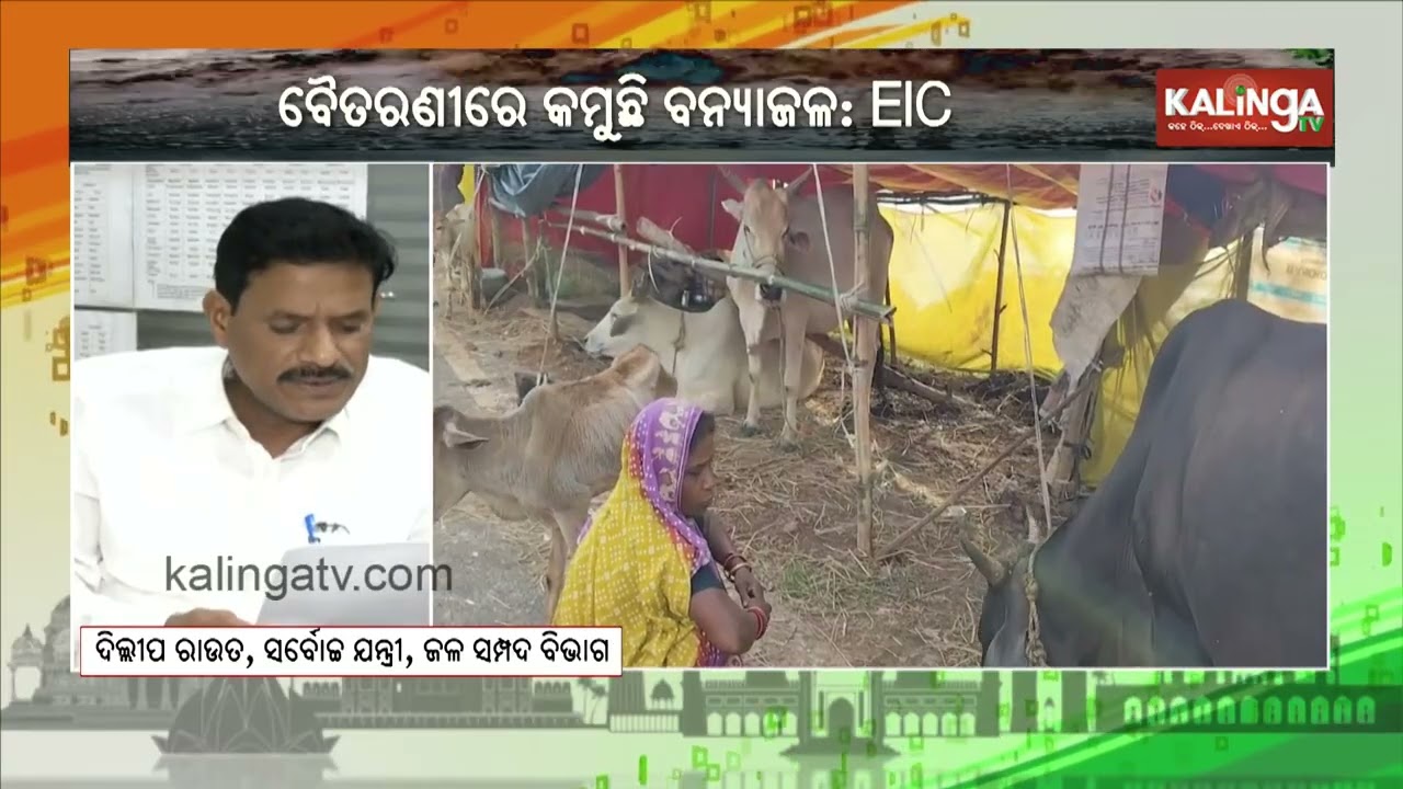 Baitarani Water Level Recedes After Crossing Danger Mark, Says EIC | Kalinga TV