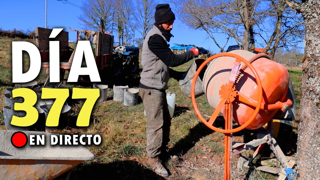 Seguimos Construyendo el MURO de PIEDRA | Proyecto Autosuficiente IRL Día 377