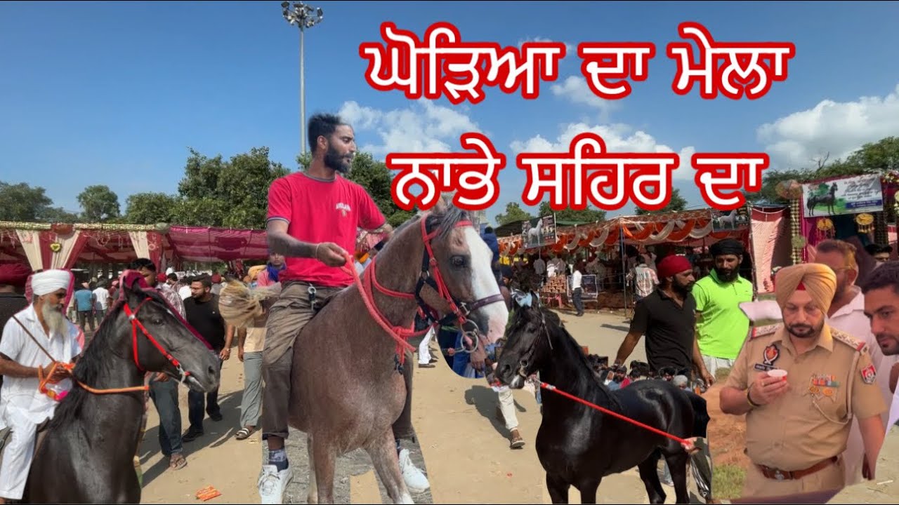 ਨਾਭੇ ਸਹਿਰ ਲੱਗਾ ਘੋੜਿਆ ਦਾ ਮੇਲਾ #nabha #horse #mela #nabhacity #nabhasehar #nabhanews #newvideo 