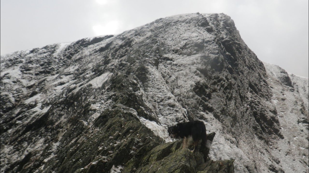 Sharp Edge, Blencathra, January 13th 2026