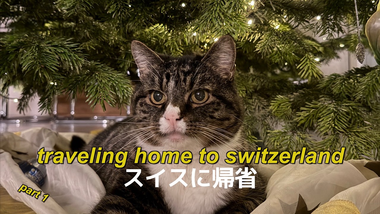 Tokyo to Switzerland 🇯🇵➡️🇨🇭 | Going Home After Living in Japan (Part 1)
