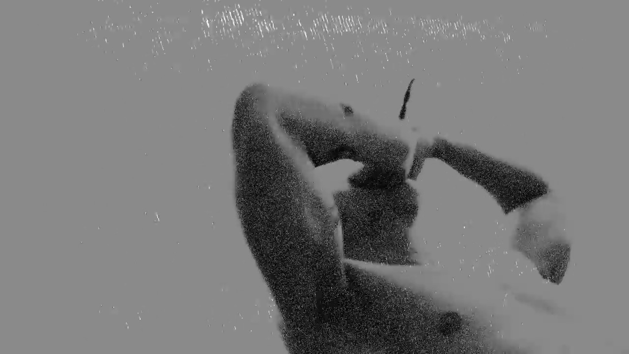 MORAL ORDER - Dead Bodies (Official Video)