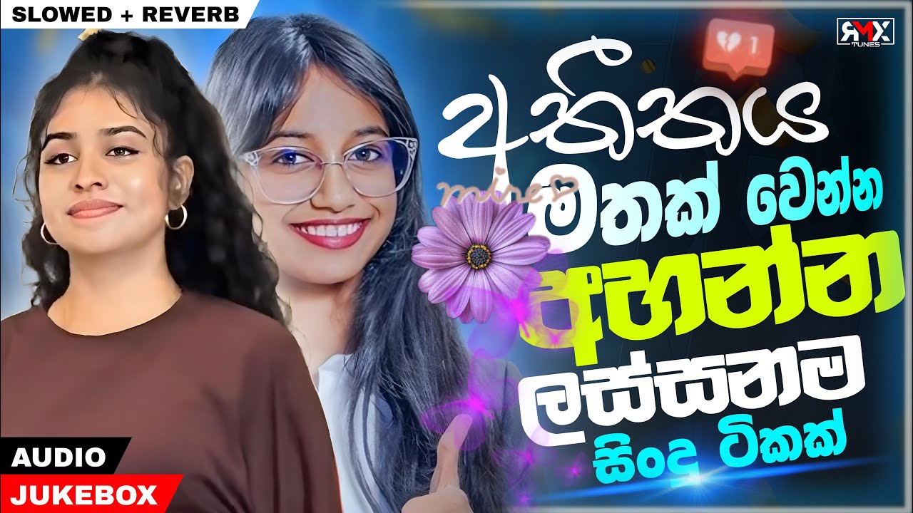 Slowed and Reverb Sinhala Songs | අම්මෝ තනිකරම භාවනාවක් 😩💔 | New Song 2025 | Manoparakata Sindu 2025