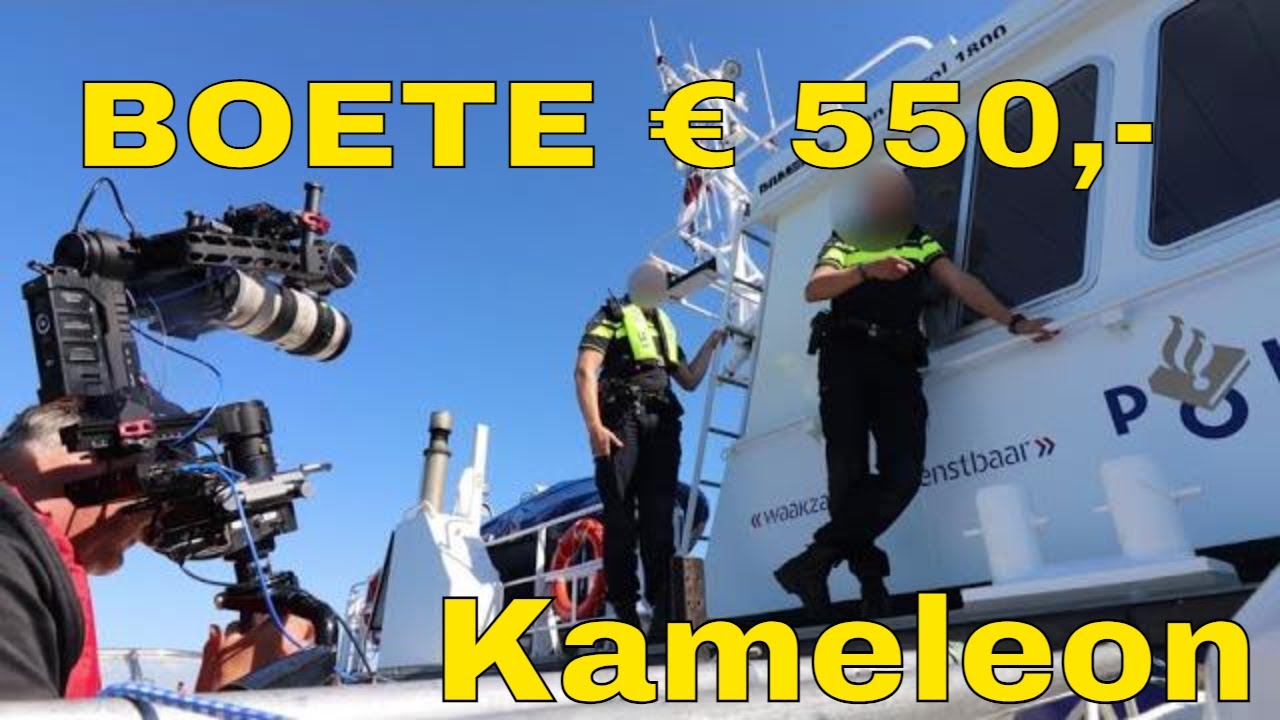 KAMELEON OP DE BON!