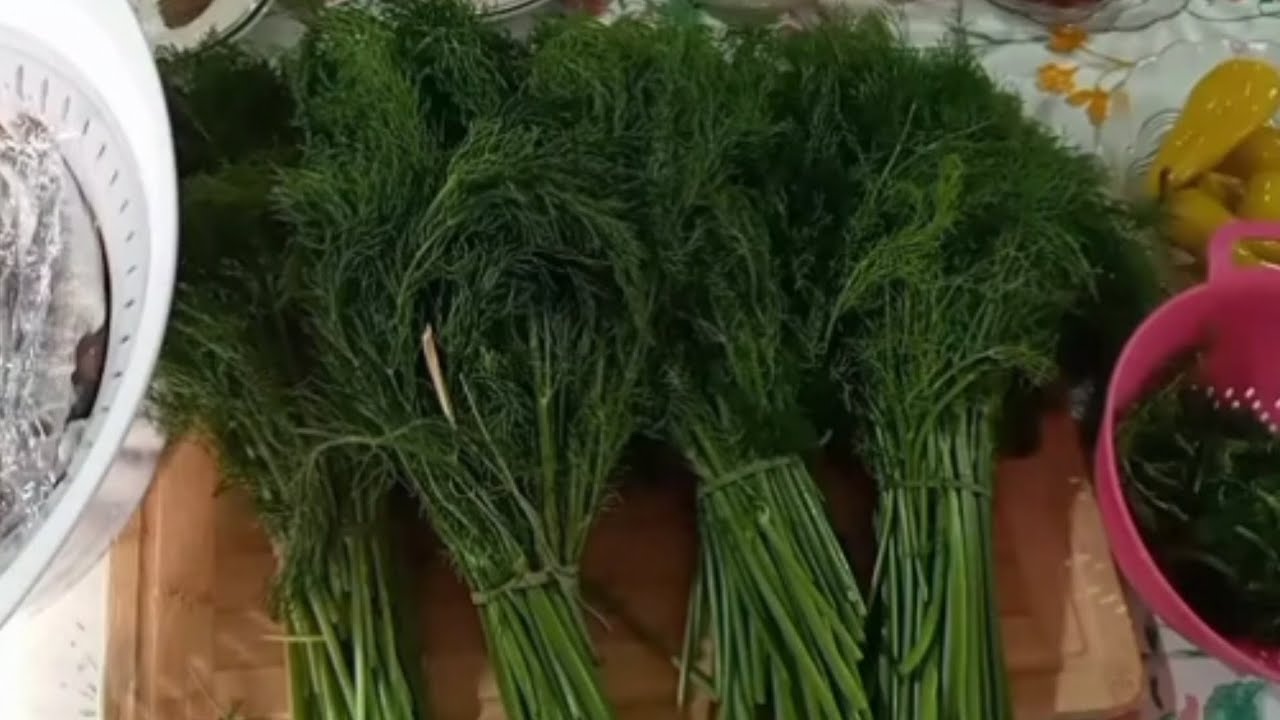 #كسكسي_بالبسباس#كسكسي_بالفرفوشة وصفة زمنية اقتصادية من روائع المطبخ التونسي 👩‍🍳