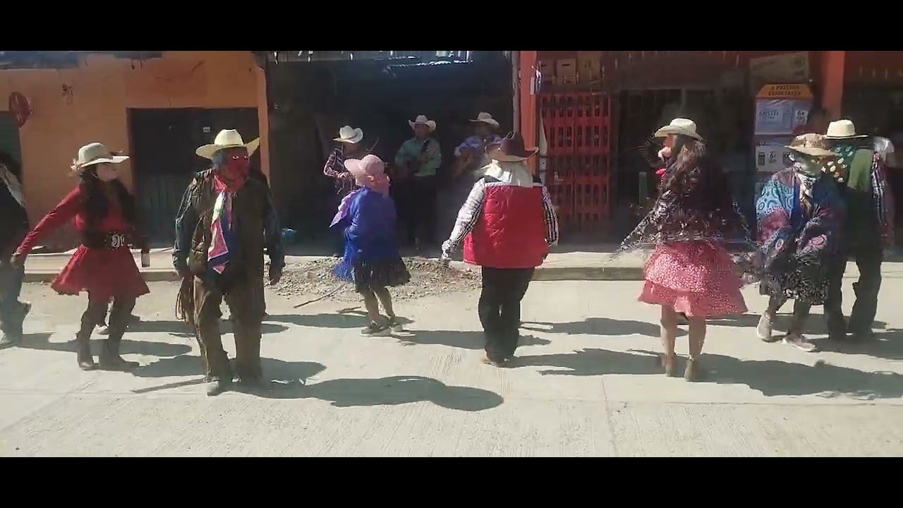 Carnaval pisaflores Veracruz 2026