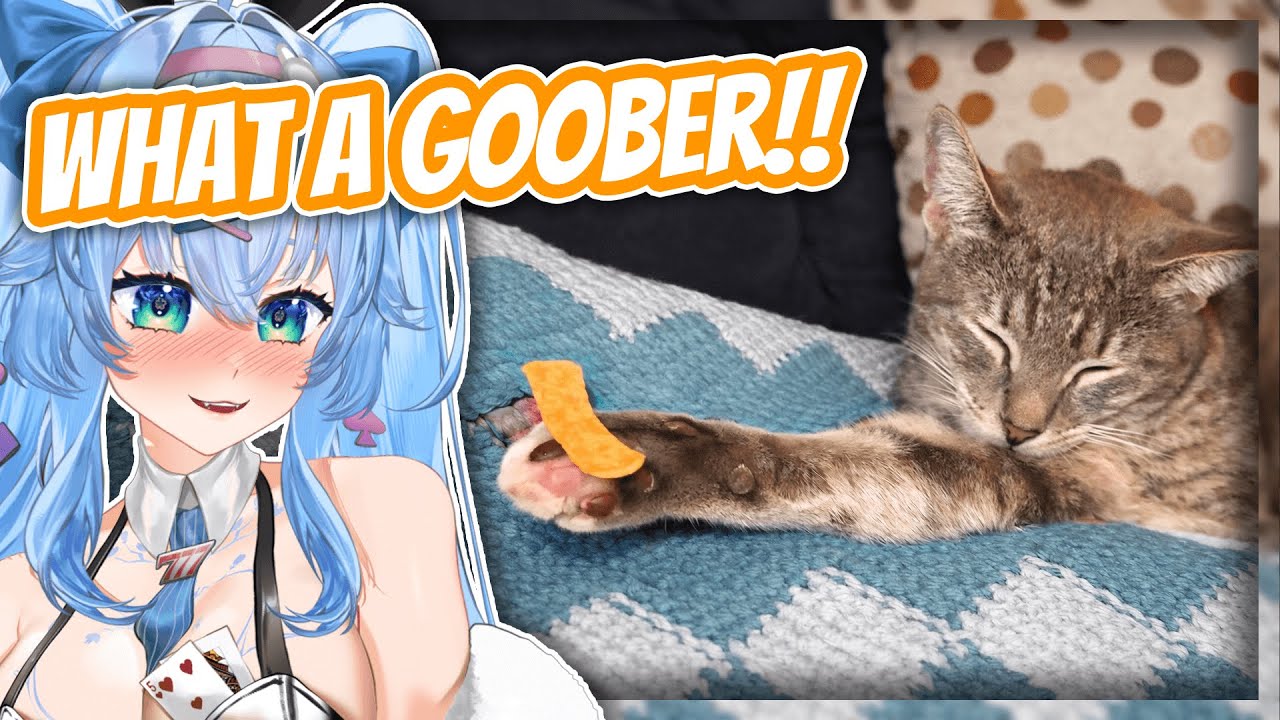 Unusual Memes Compilation V352 - Mifuyu Reacts | Bro is PROPHETIC!!!