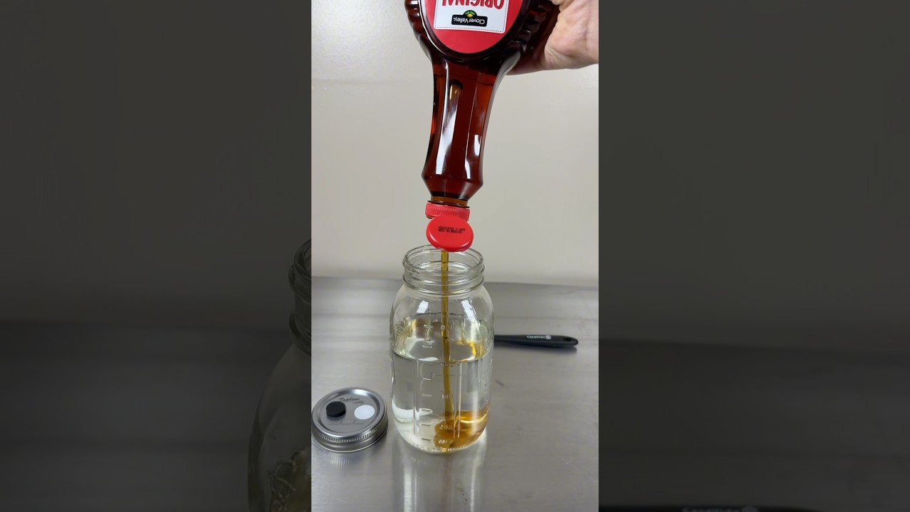 Growing Mushroom Mycelium with Pancake Syrup 