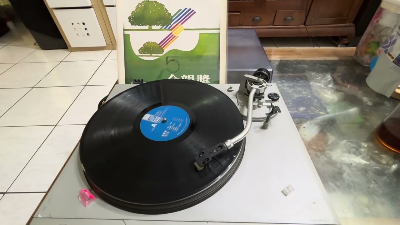 Technics SL-D2