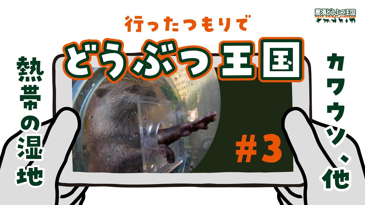 行ったつもりでどうぶつ王国 #3
