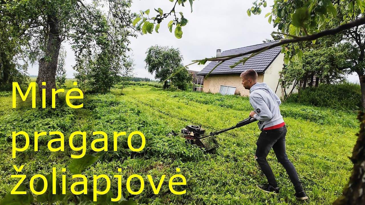 Birželio 11/ Žoliapjovės pskutinis pjovimas/ Kvadratinė zilka trimeriui/Pasiruošta sklypo lyginimui