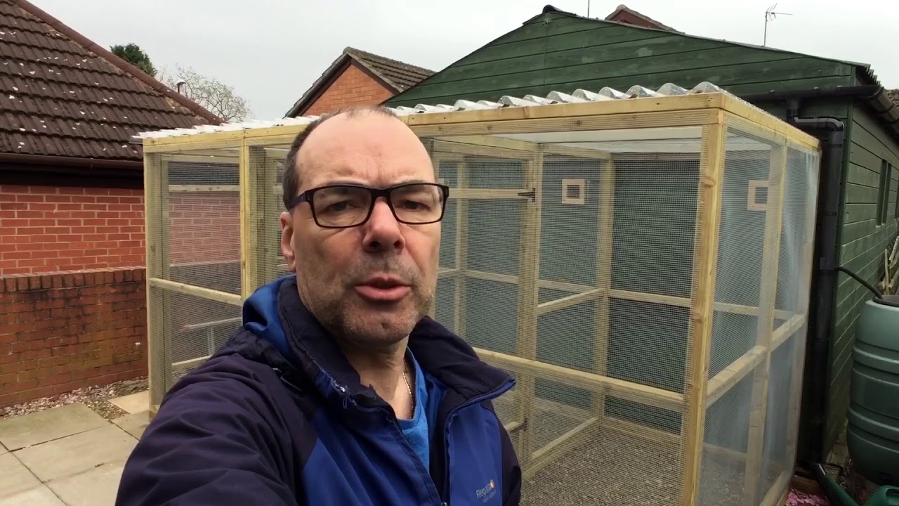 Introduction to our setup gouldian finches in the UK