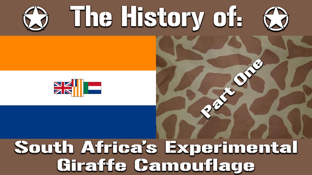 The Story of One of The Rarest Camouflages in The World: South Africa's Experimental Giraffe Pattern