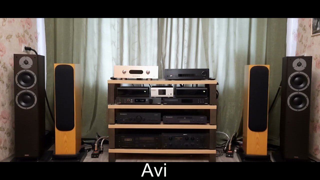 Primare SPA21/// VS/// Avi S-2000mm (ДУЭЛЬ )