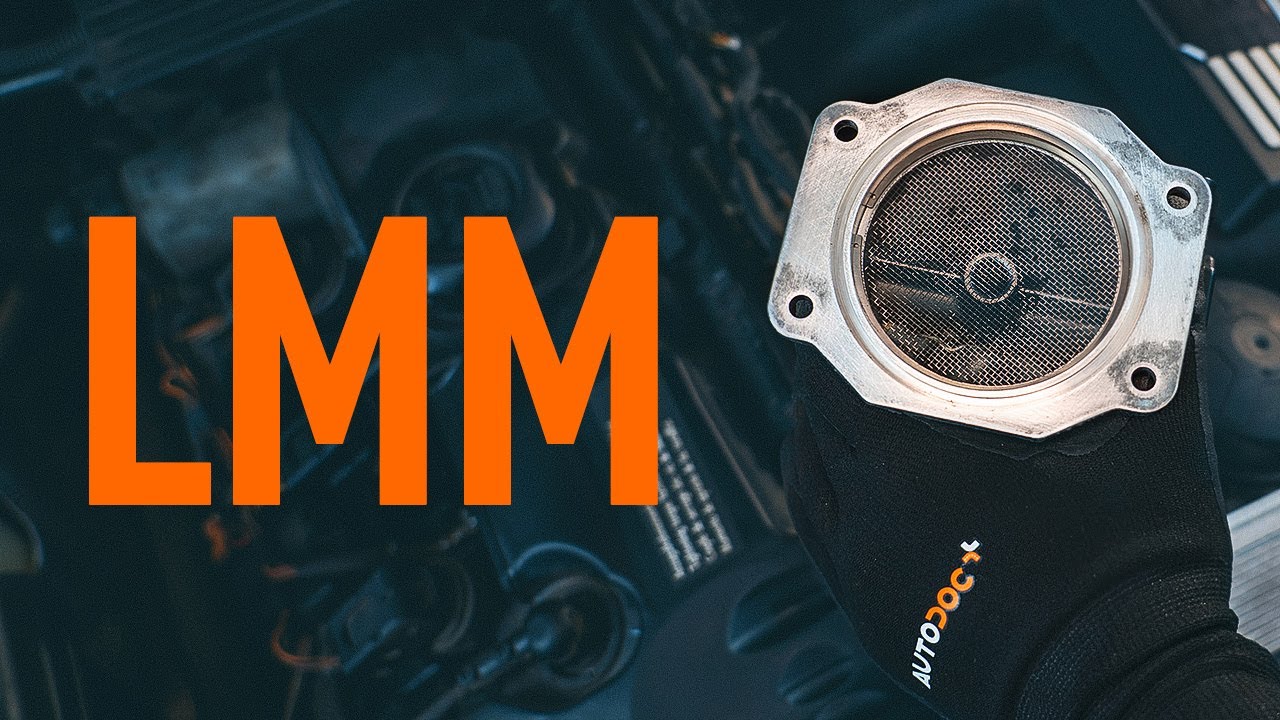&Uuml;berpr&uuml;fung des LMM | Tipps von AUTODOC