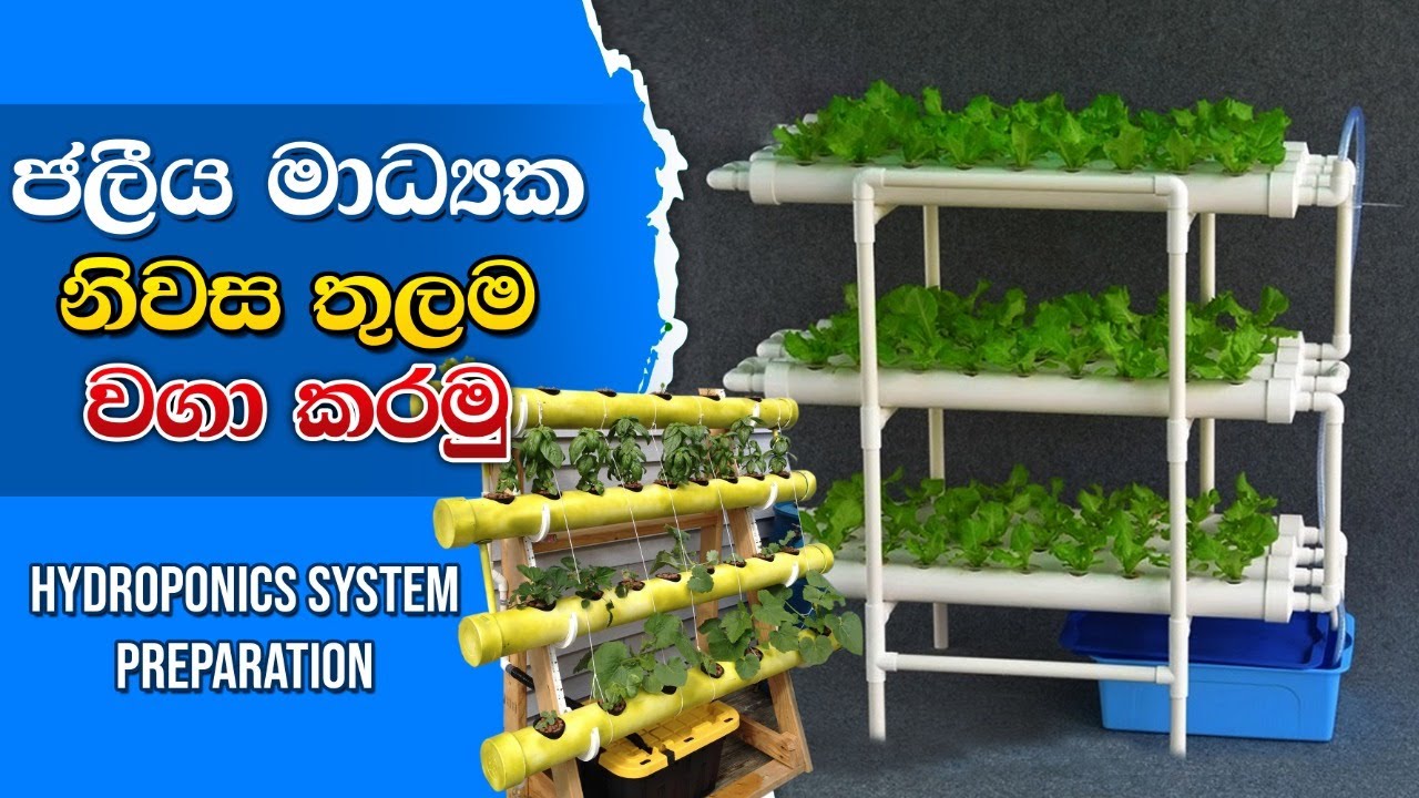 Hydroponics System Preparation, නිර්පාංශු වගා ව්‍යුහ ,BST Saman, Biosystems Technology, practical