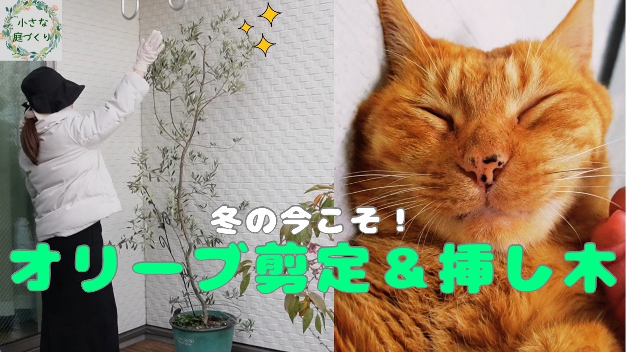 【初心者でもできる🔰】失敗しないコツ！