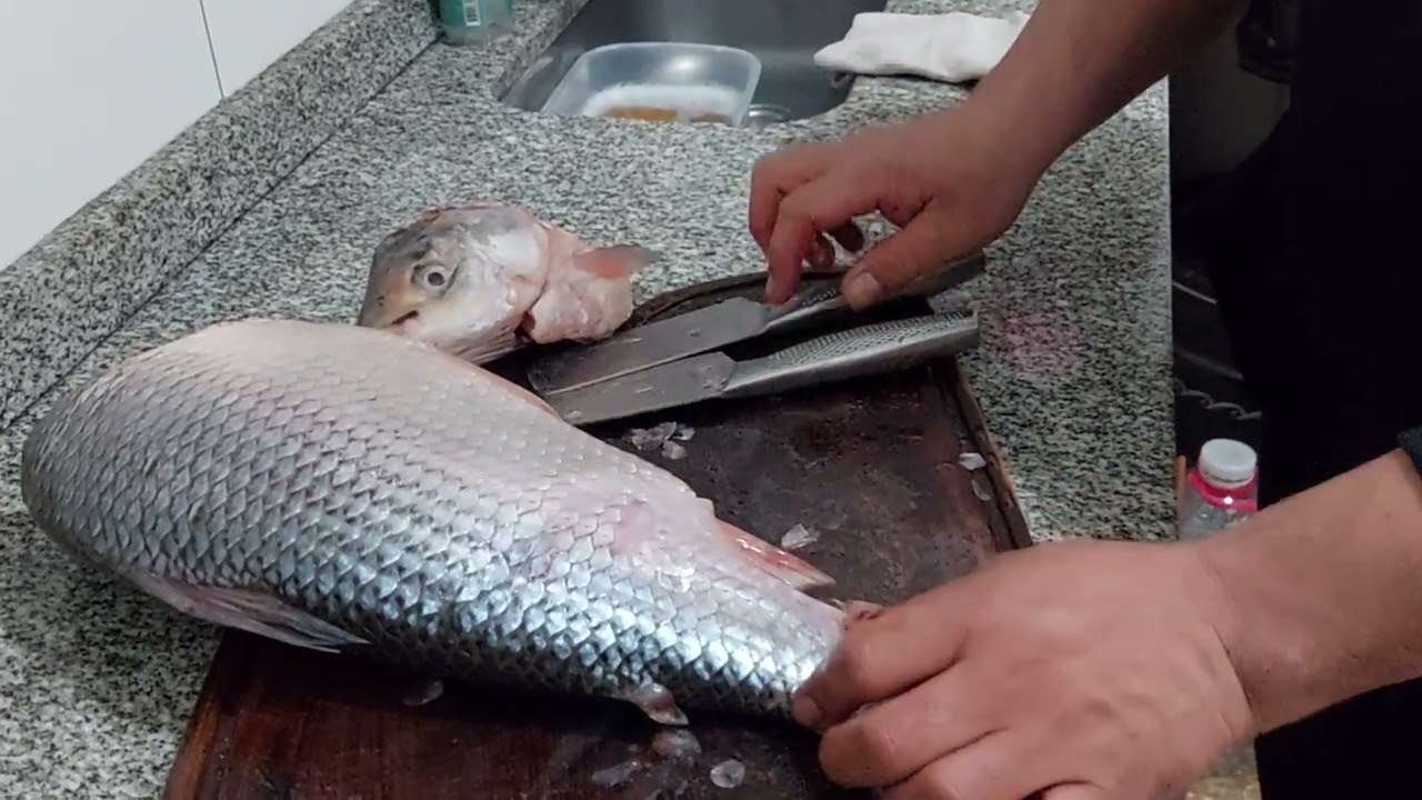 Sabalo del Parana Guazu al Horno Riquisimo.. Pezcamania cocina