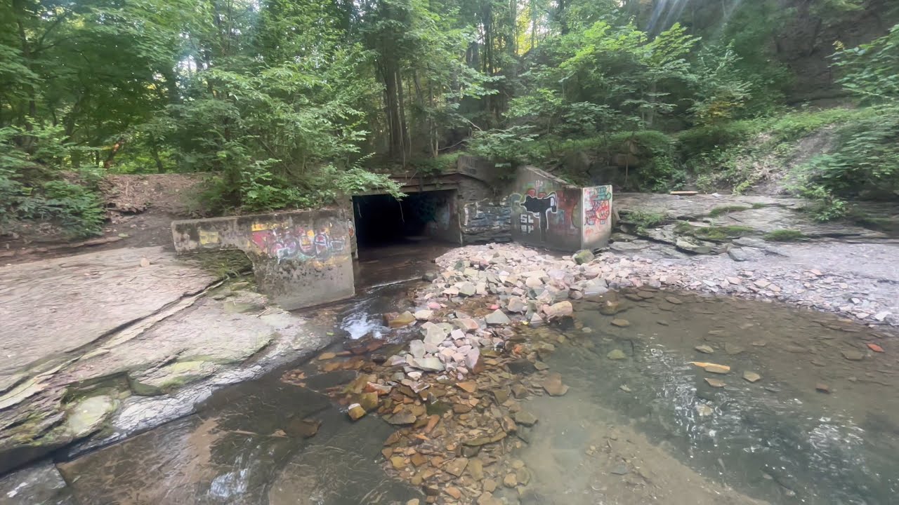 Walking Through The Most Dangerous Park In  Cleveland Ohio / Forest Hill
