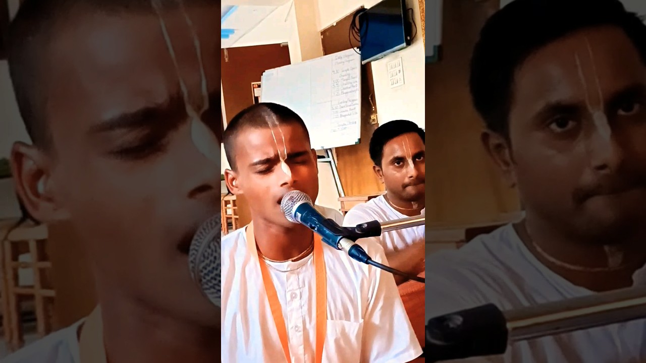Ecstatic Kirtan 😍🌺🙏 #kirtan #iskcon #harekrishna #loknathswami #vrindavan #haribol
