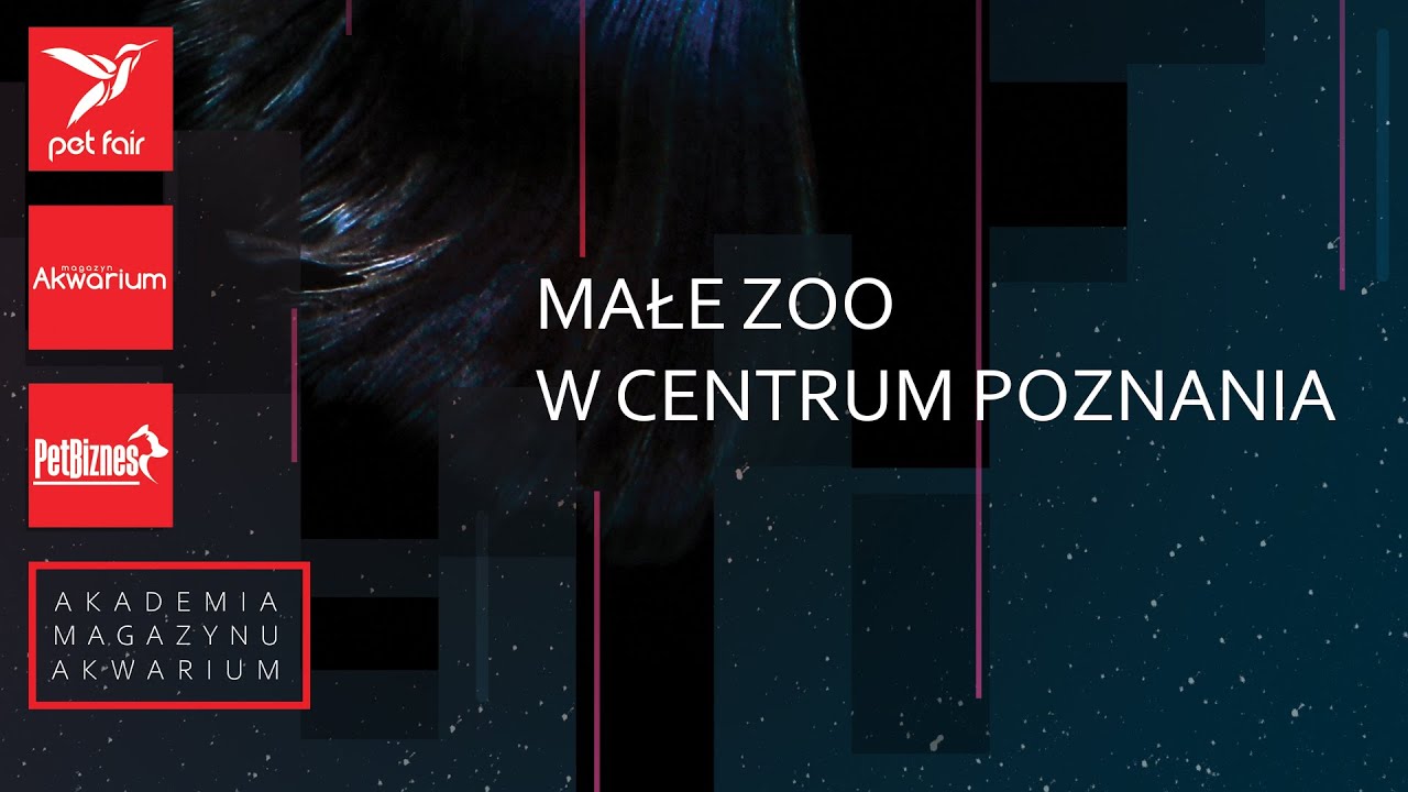 Małe zoo w centrum Poznania.