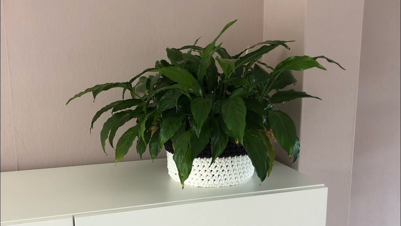 Planten Mandje #119 RECHTSHANDIG