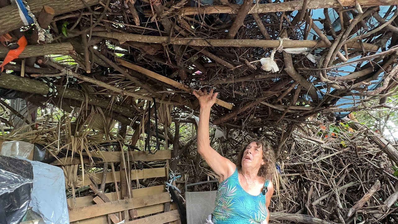 Homeless Women In Florida Lives In Woven Hut Shelter! This Isn’t A Homeless Camp It’s “My Sanctuary”