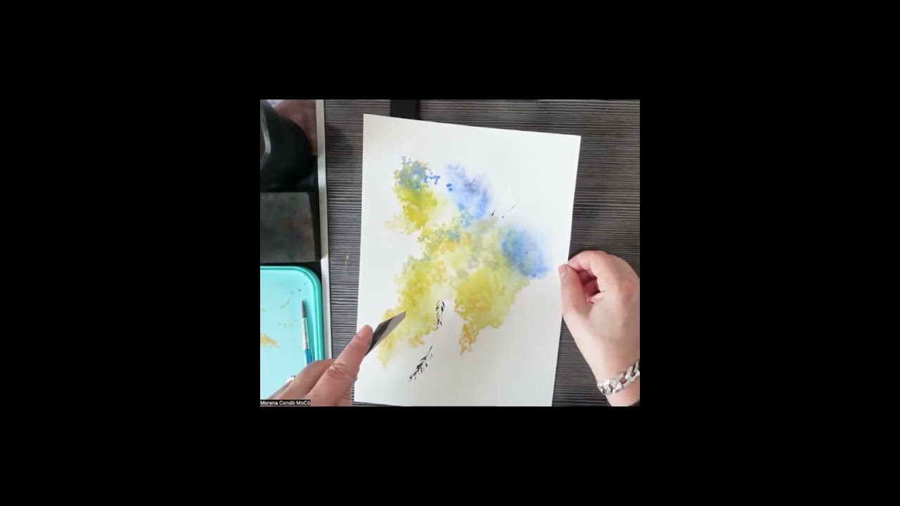 Mimose