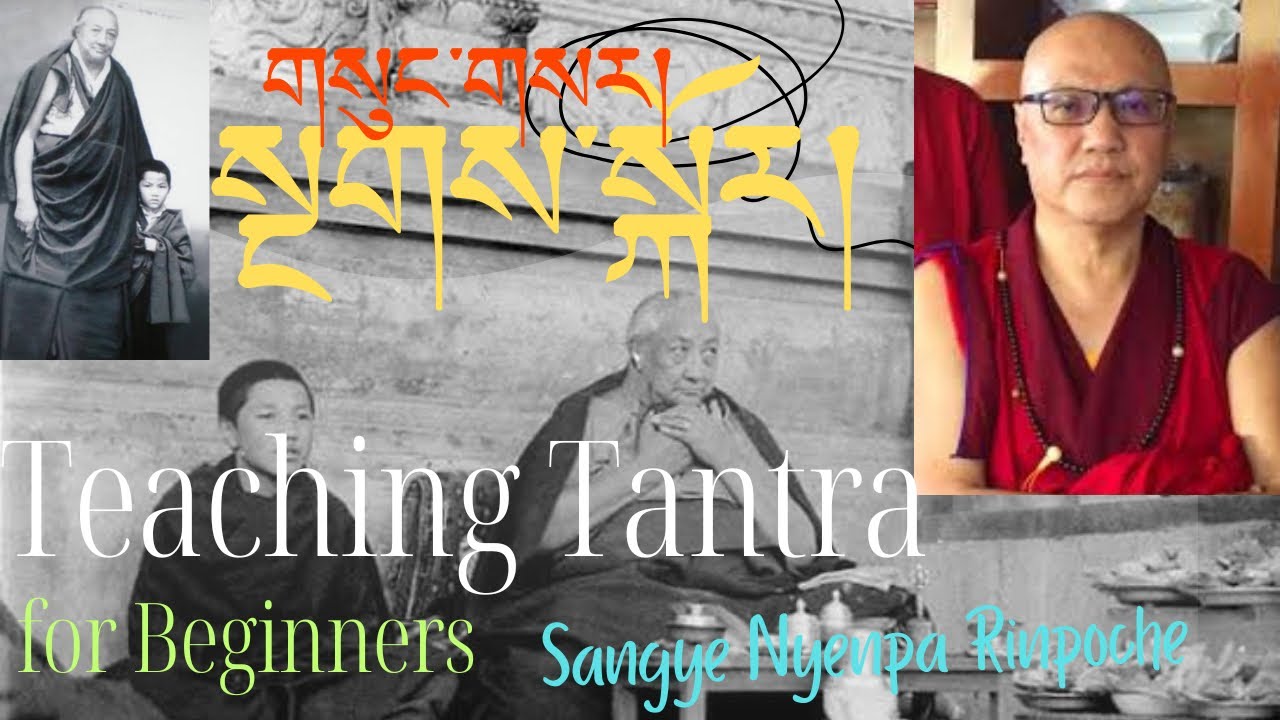 Sangye Nyenpa Rinpoche Teaching on Tantra. Important Advice. Practice!!! 2025 Kagyur #buddha #nepal